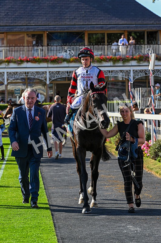 240726-Race 2-Vaguely Royal-0261 - Race 2 18.05pm Elevator Company Handicap
