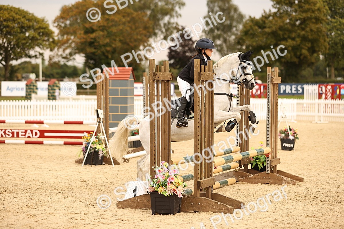 SBM_74399 - J14 - Junior Pony 65cm Championship