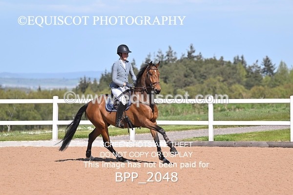 BPP_2048 - CLASS 3 - FRI - Senior British Novice/90cms Open