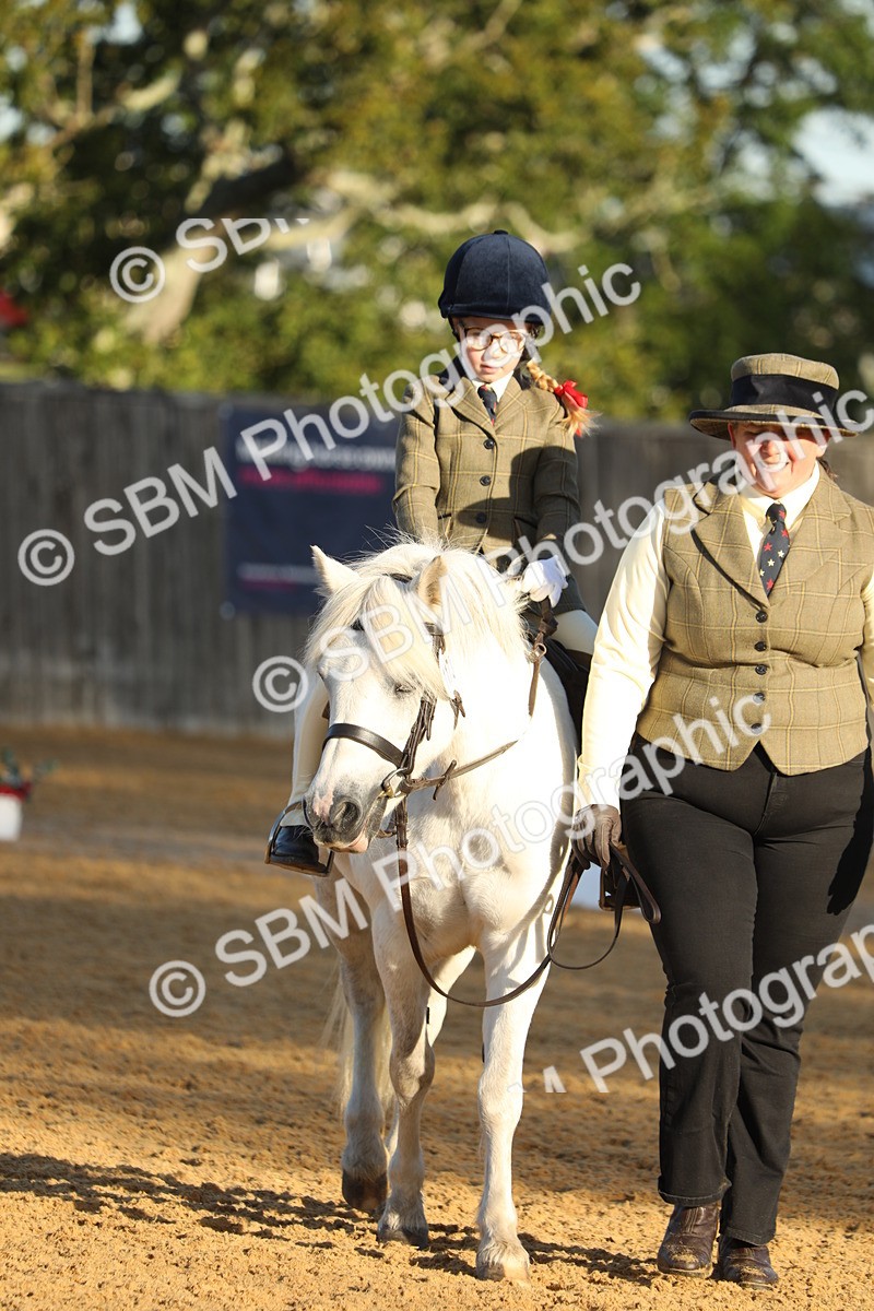 SBM_33603 - D26 - Starers - Lead Rein