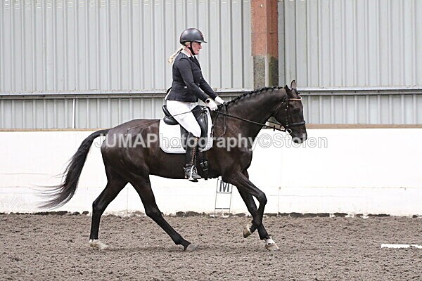 SIAL5338 - CAbin Dressage 5th july 2025
