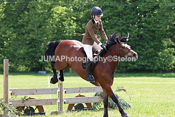 IMG_3761 - Working Hunter