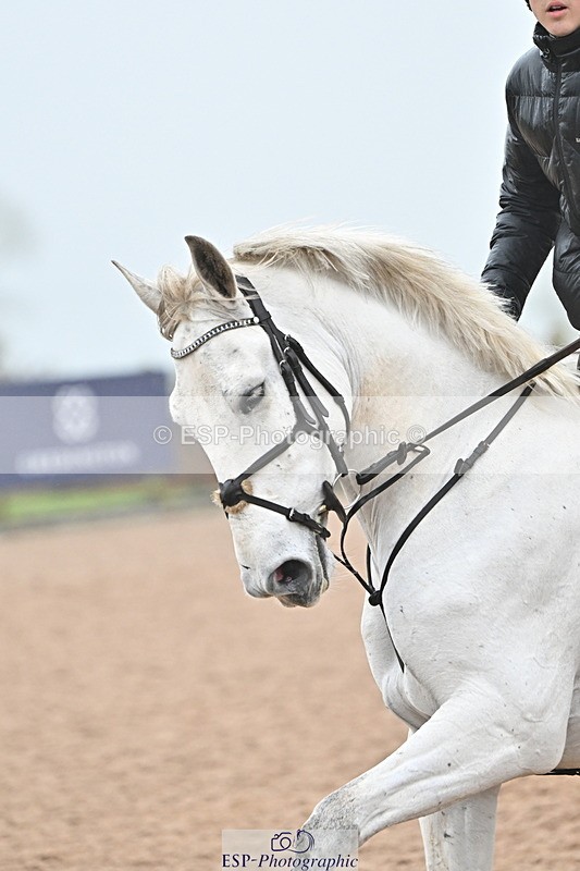 241103A-111616-06965 - SUN Cls 18 British Novice and 90cm Open