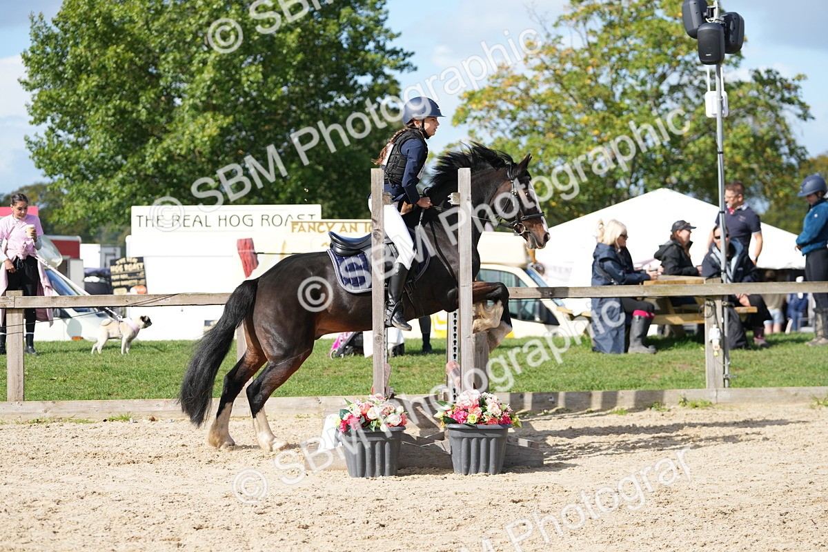 SBM_17800 - J58 - Clear Round 50cm