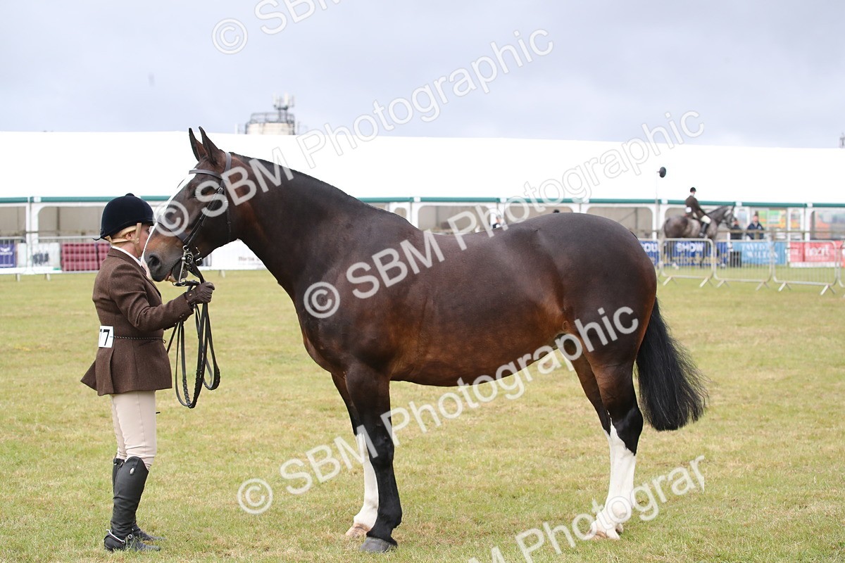 SBM_11268 - Class 92-93 - LIHS BSHA Rising Star Cobs