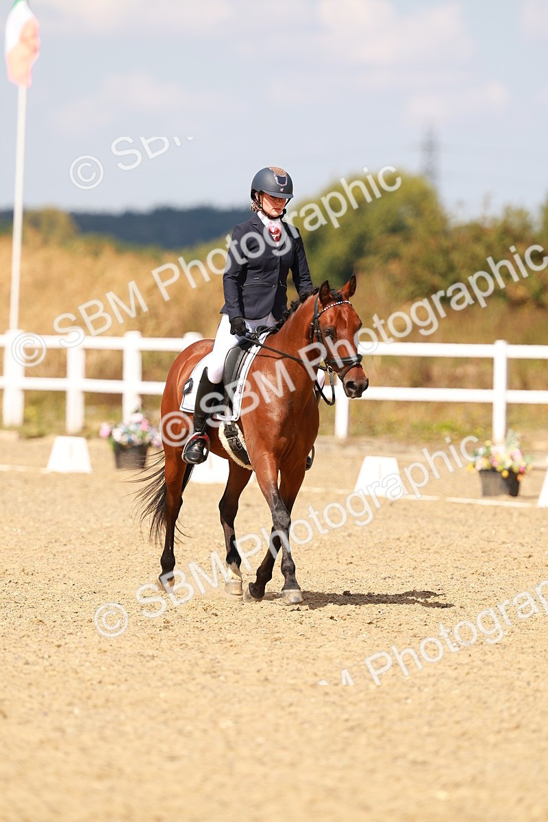 SBM_018463 - Class 9 - N5 Bronze 11.57.13.07