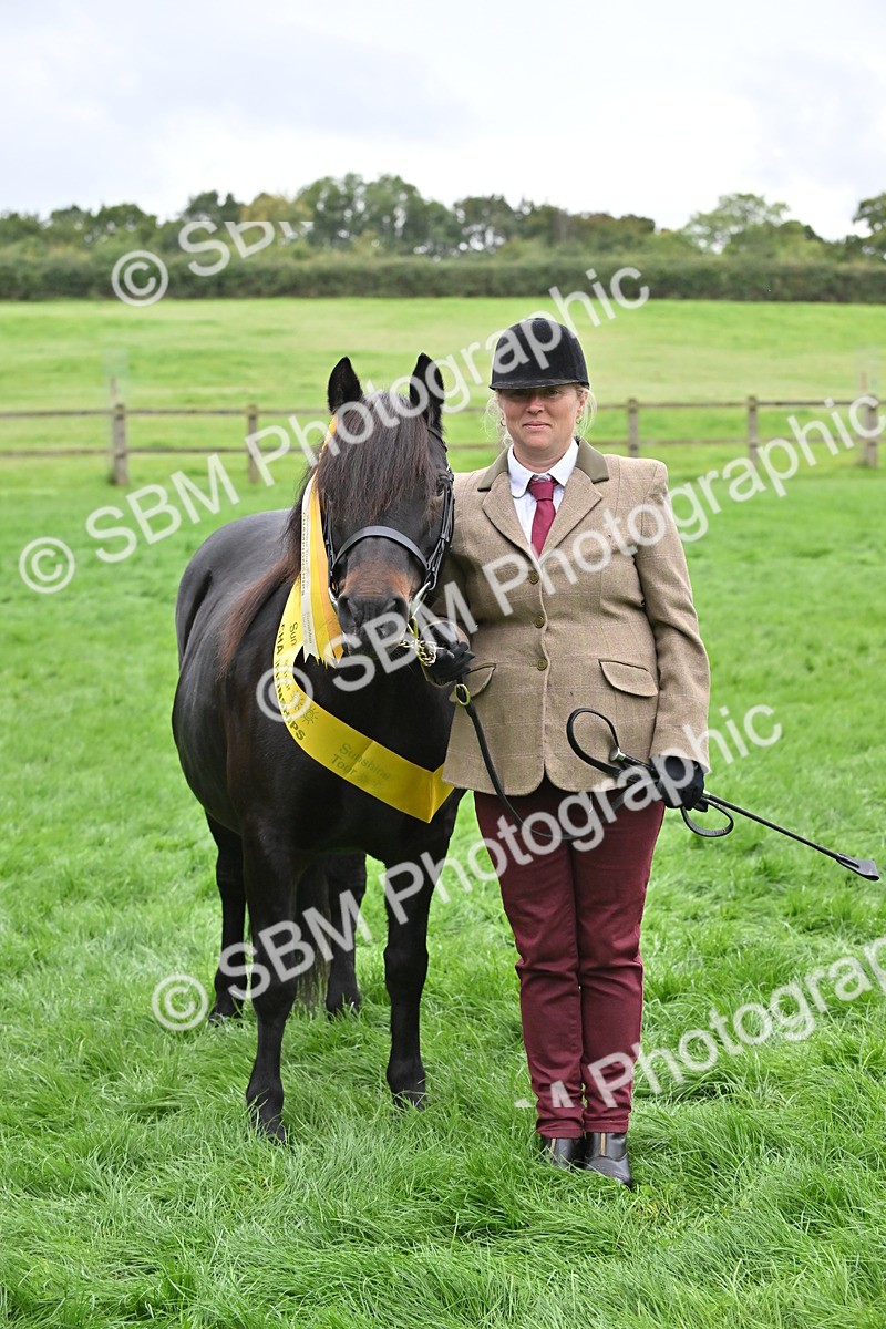 SBM_61049 - S48 - Mountain & Moorland In Hand Small Breeds