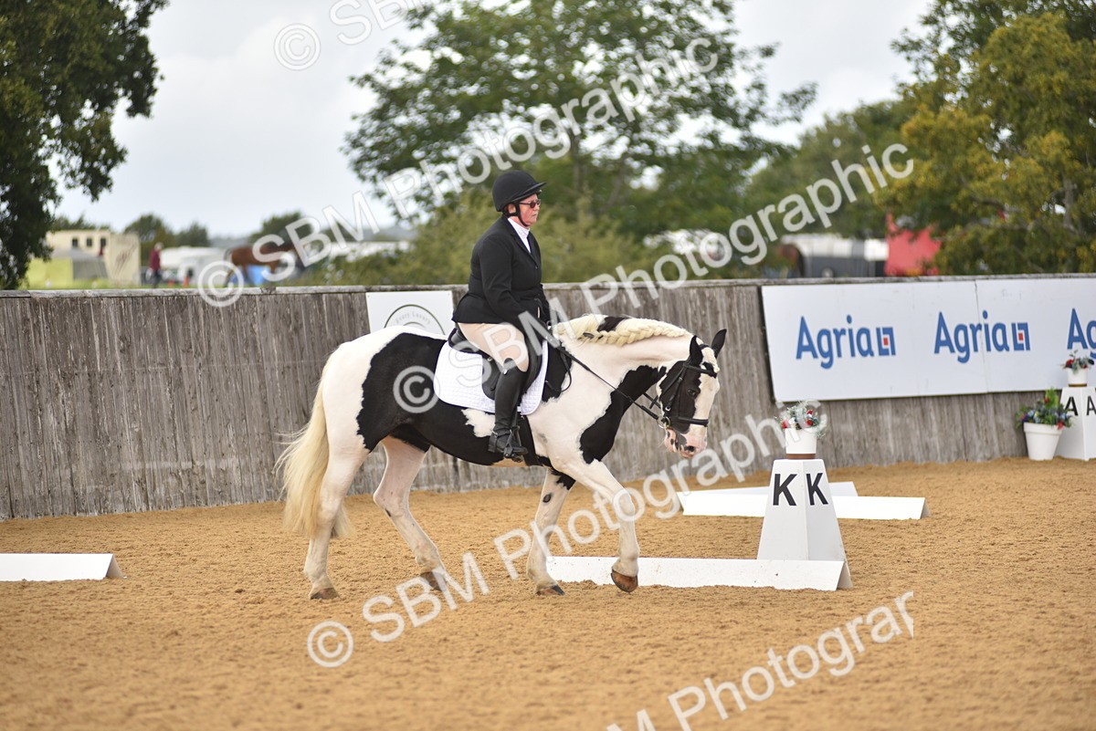 SBM_07845 - D15 - Small Tour Championship Novice 1