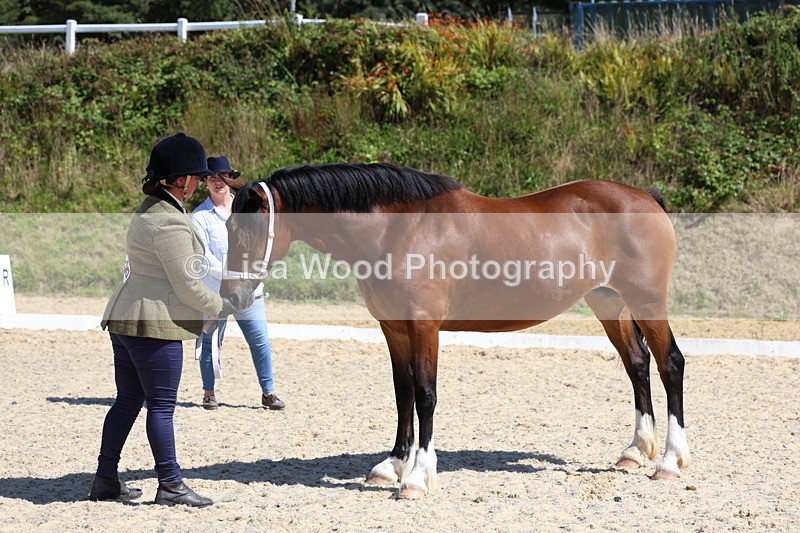 3E7A9633 - Class 32: Best Grass Kept