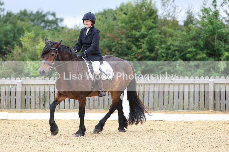 3E7A4705 - Class 1: Intro 4 2024 section A