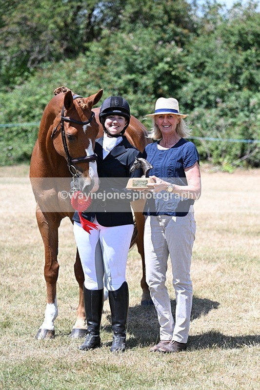WJ7_2518 - Most Handsome Gelding Champs