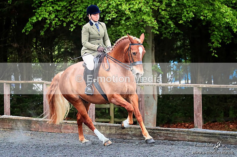 BSHA 030526 180a - Equestrian