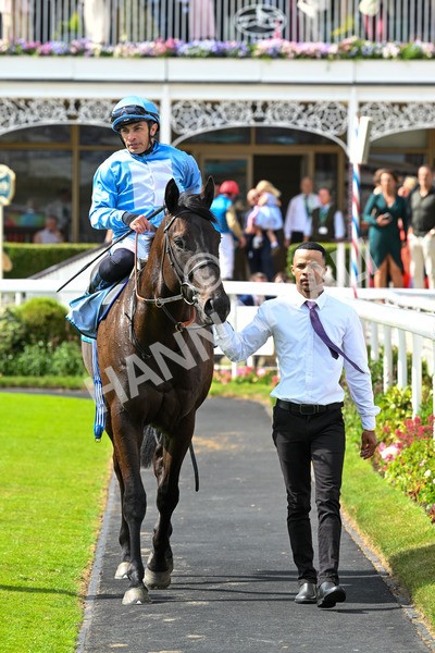 140625-Race 5-Egoli-3130 - Race 5 4.10pm Reg Griffin Appreciation EBFstallions.com Maiden Stakes