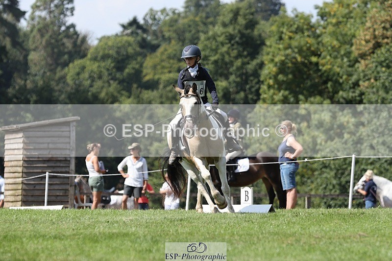 250823A-133639-31336 - Arena D