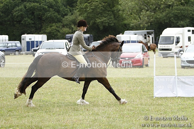 BVR160717-405 - Ring 3 BVRC Show 16/07/17