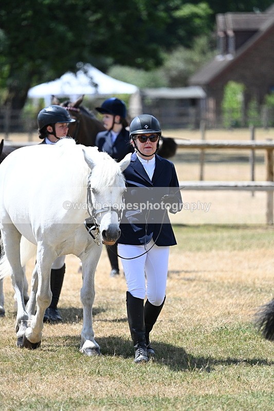 WJ7_2428 - Class 5a Most Handsome Gelding in hand (above 14.2hh)