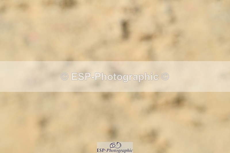 251004A-122114-01005 - Classes 4 & 5 50cm