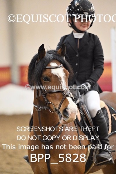 BPP_5828 - CLASS 3 PONY 40CM FINAL