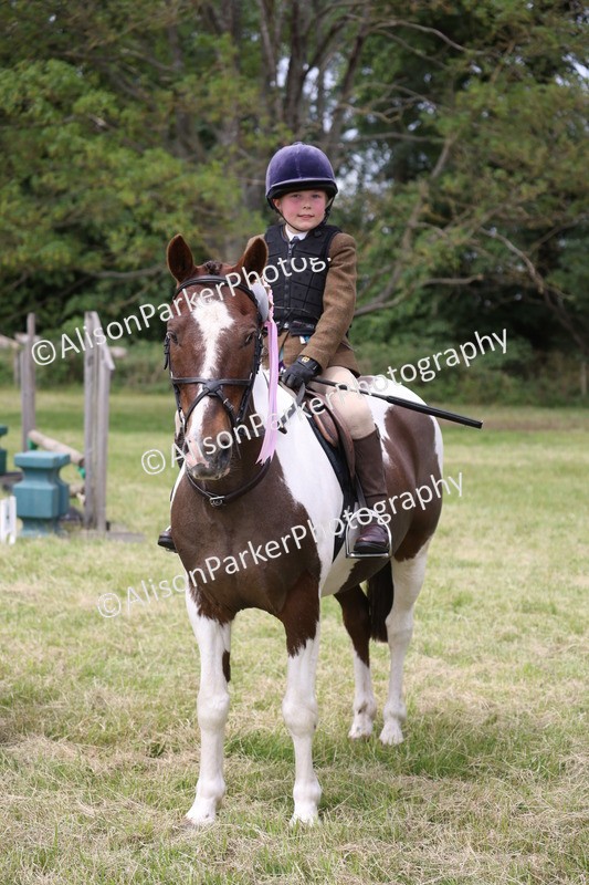 20260614-3190 - Class 22 - Open Working Hunter