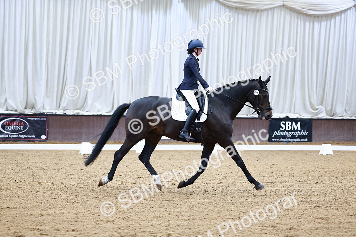 0B8A0247 - Class 4 - Novice 4