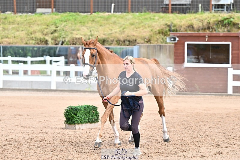 240718A-105324-01945 - Trot Up 2pm to 3pm - This folder is not in time order