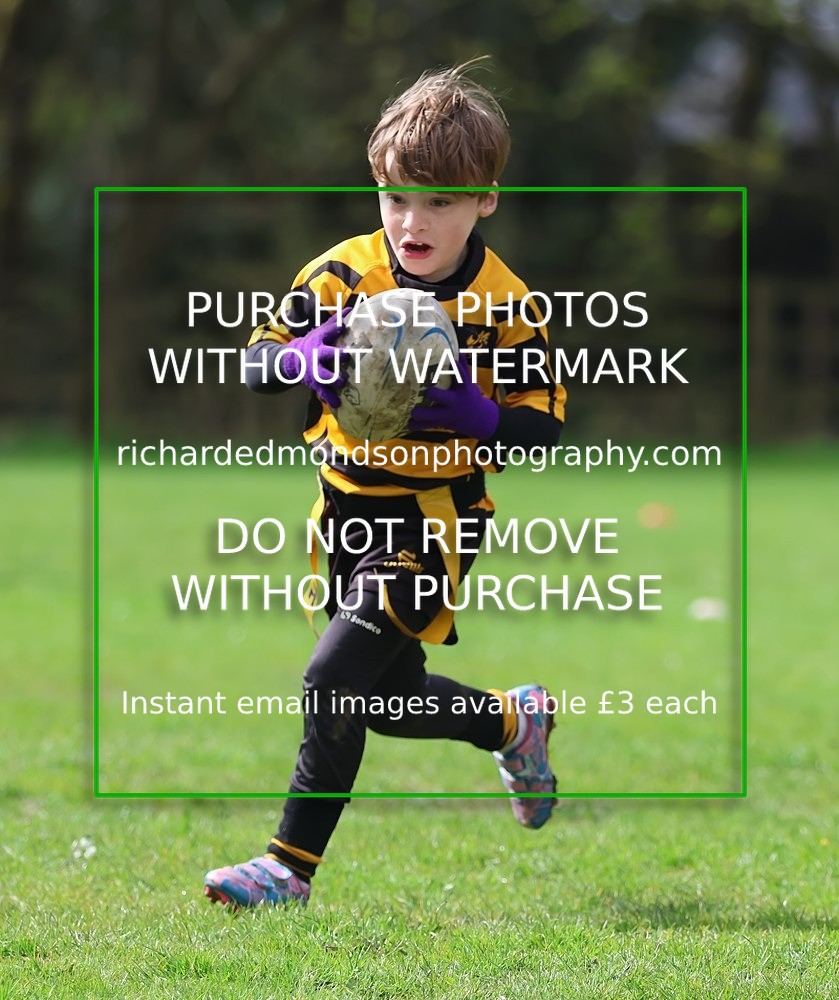 533A5283 - Kendal Rugby Under 7's (12/4/26)