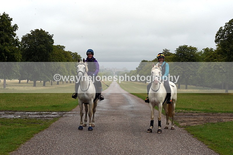 TT3_8310 - Time at Crossing 10:16 to 11:38