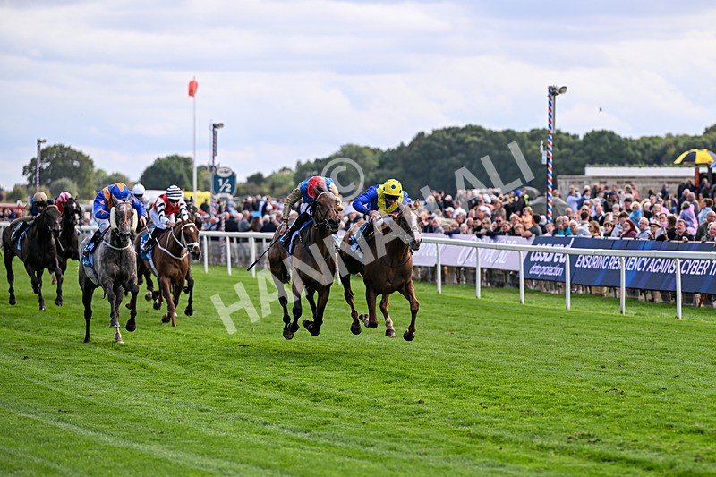 210826-Race 5-Plage De Havre-6743 - Race 5 16.10pm Assured Data Protection Handicap