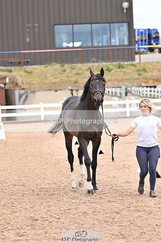 250716-140000-00851 - Trot Up 1.30 to 2.30