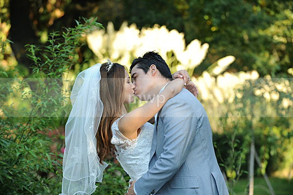 MWP_1664 - Wedding Picture Samples