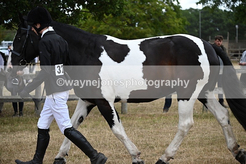 WJ6_8228 - Class 10 Coloured in Hand