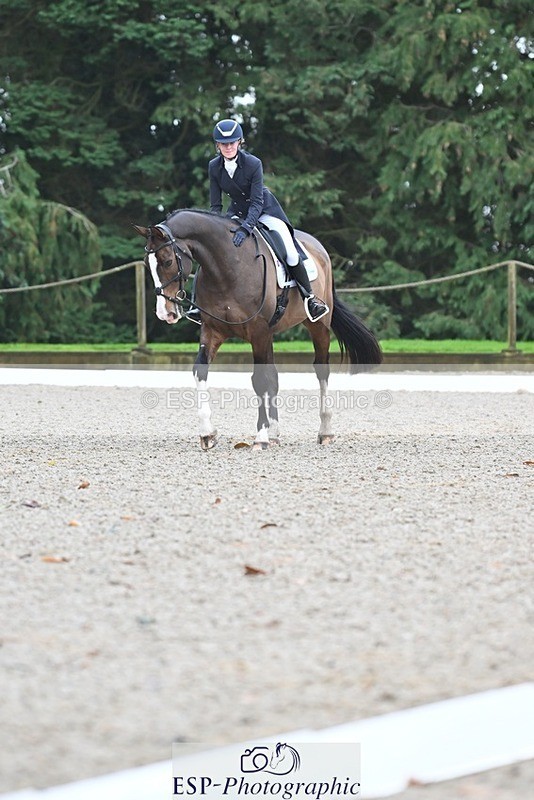 231019-104930-01985 - 103-BEECH.HILL.KIKO.CLOVER-Harriet.Blair-DR