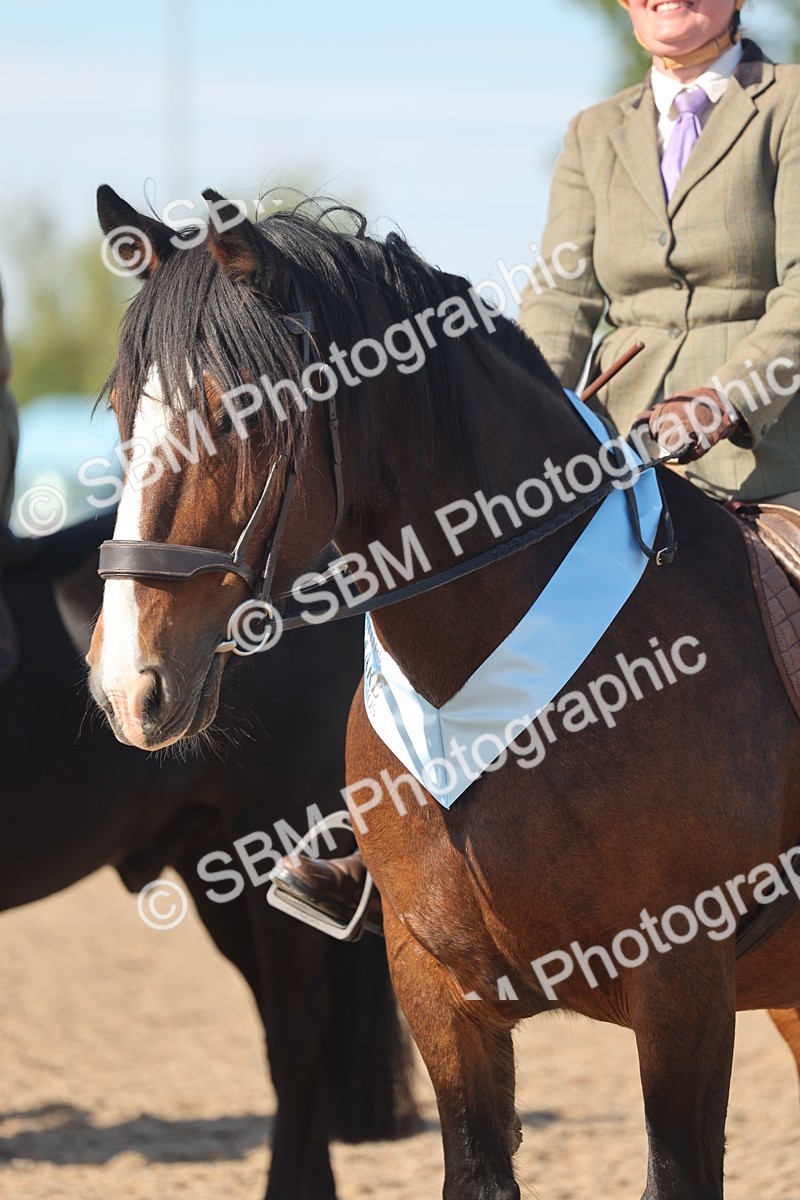 SBM_12432 - Class 304 - Ridden part Bred Horse Pony