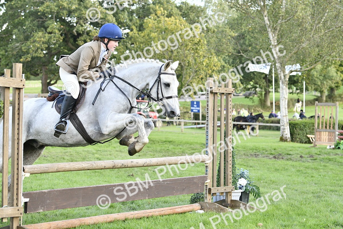 SBM_52149 - S35 - Working Hunter & Working Show Horse