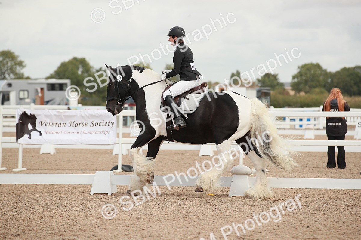 SBM_03826 - Class 31 - Prelim 1