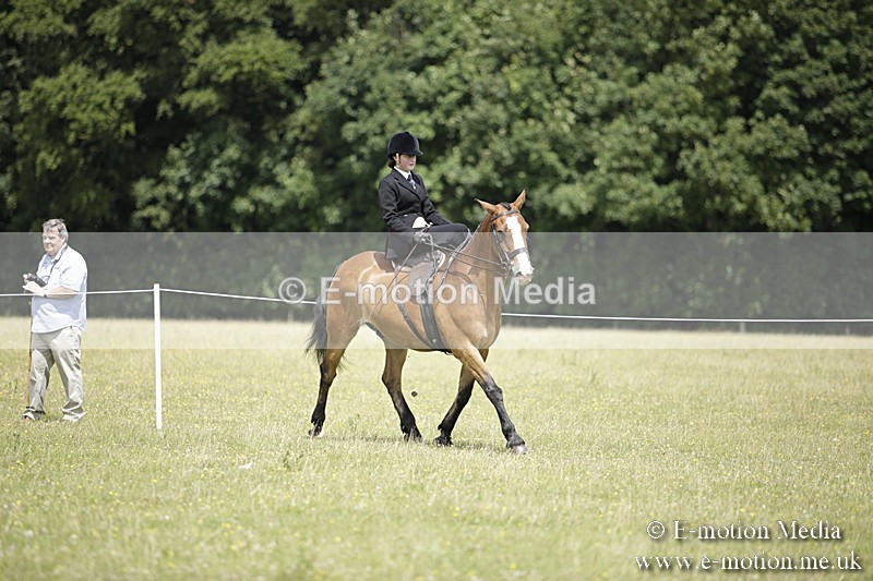 BVR160717-1992 - Side Saddle Classes 16/07/17