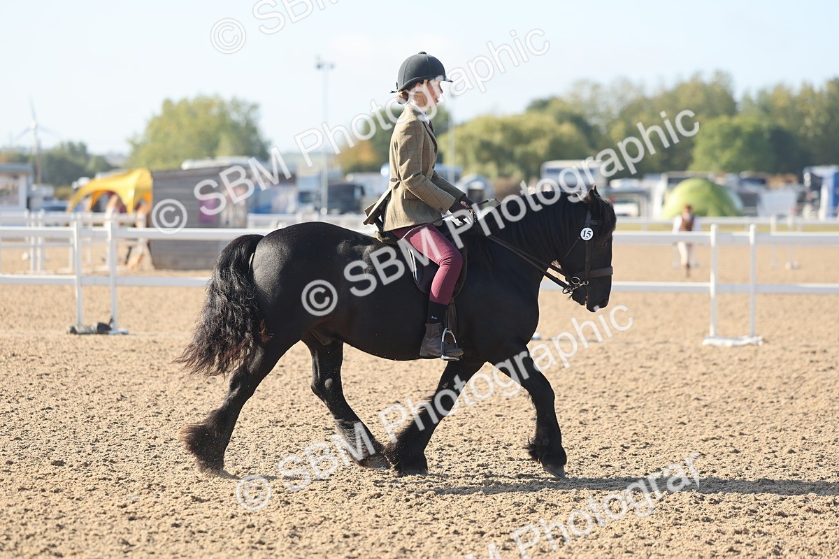 SBM_22168 - Class 802 - Ridden Groom Helpers Class