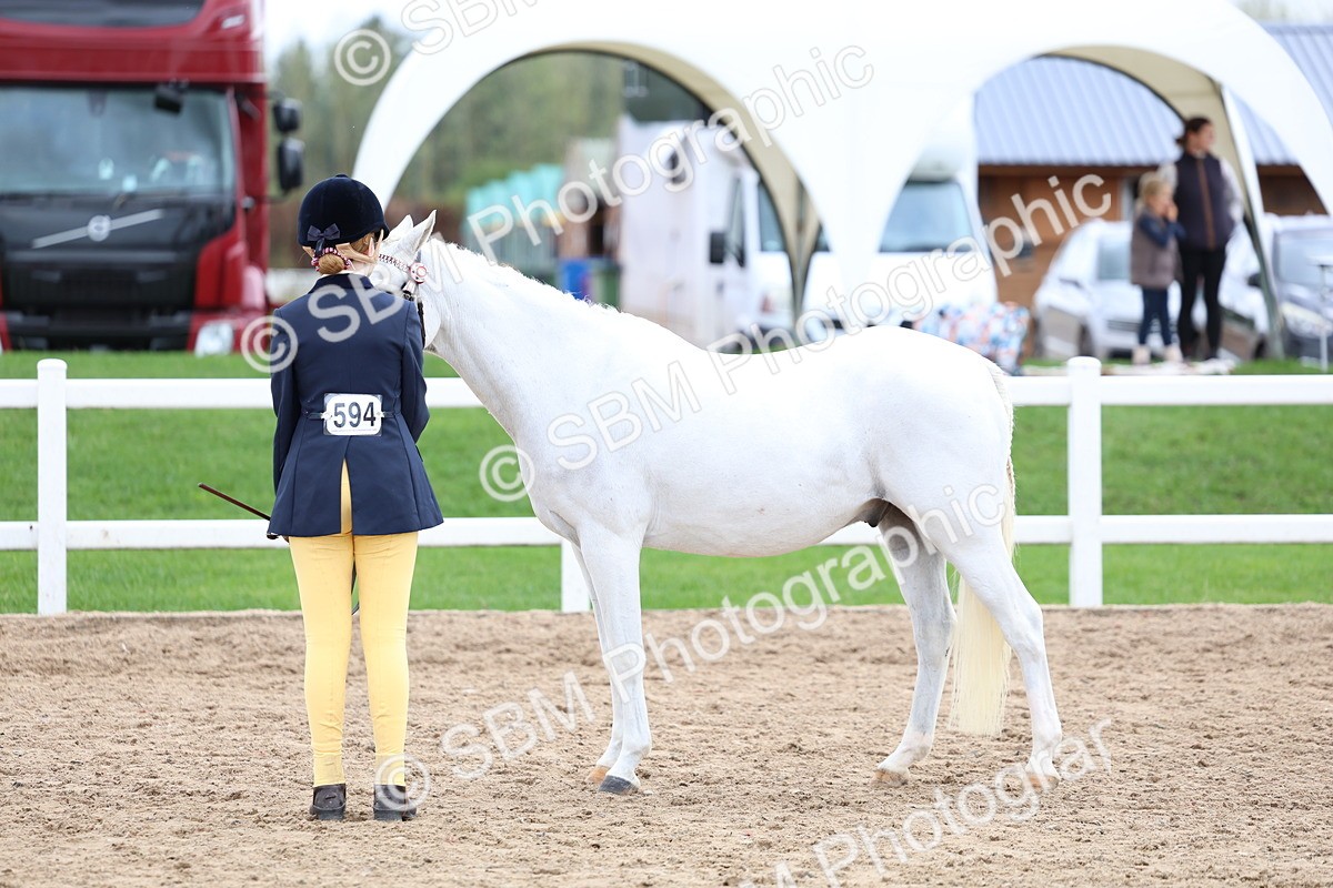 SBM_05066 - Class 27 - IH Competition Horse or Pony