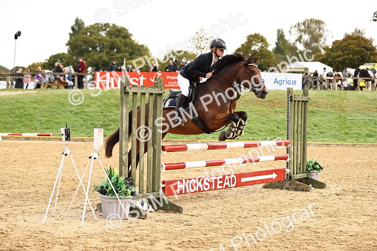 SBM_58420 - J41 - Grand Tour Horse & Pony 95cm