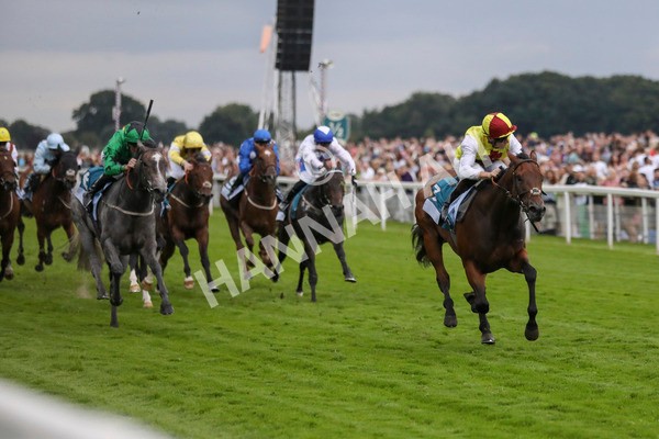 280723-Race 7-Knebworth-3012 - Race 7 8.20pm Sky Bet Go-Racing-In-Yorkshire Summer Festival Handicap