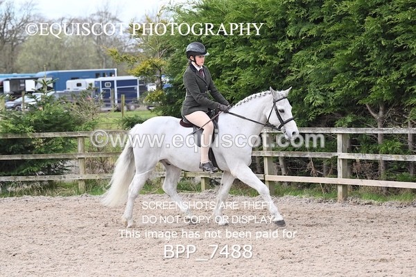 BPP_7488 - RING 1  (RIDDEN HORSES / IN HAND / VETERAN ETC)