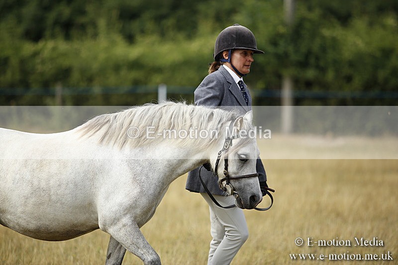 _C7A9226 - BVRC Sow 2018 Ring 2