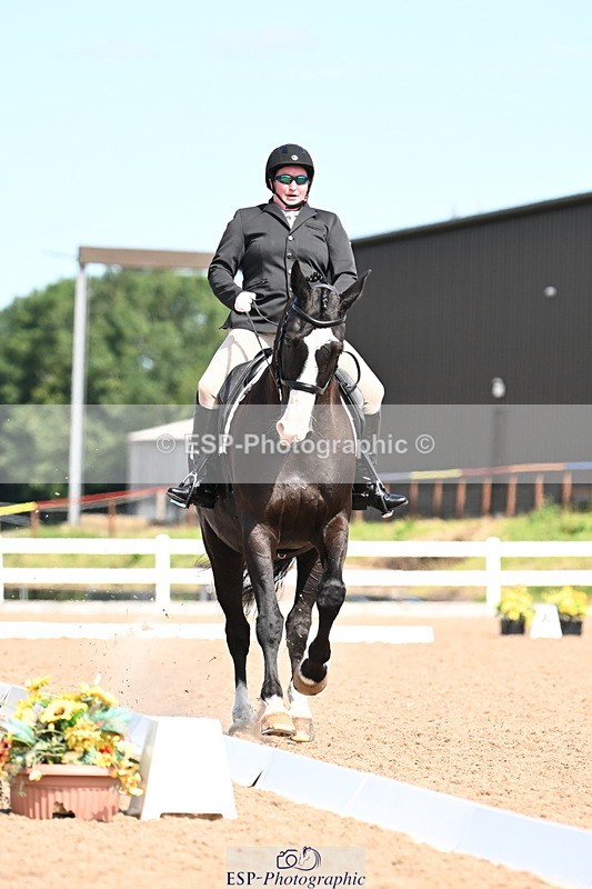 240816A-121852-04864 - 289-Rosey.Bradburn-High.Spirits.II