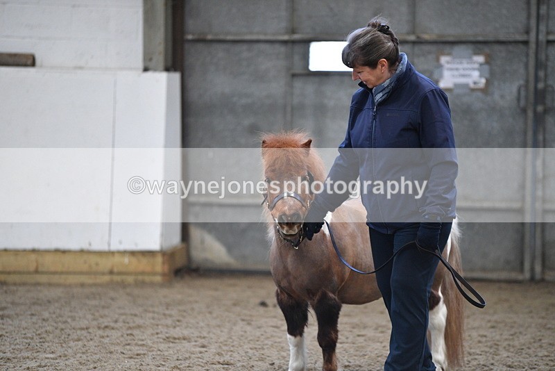 WJ5_5122 - Class 7 In hand coloured / odd coloured