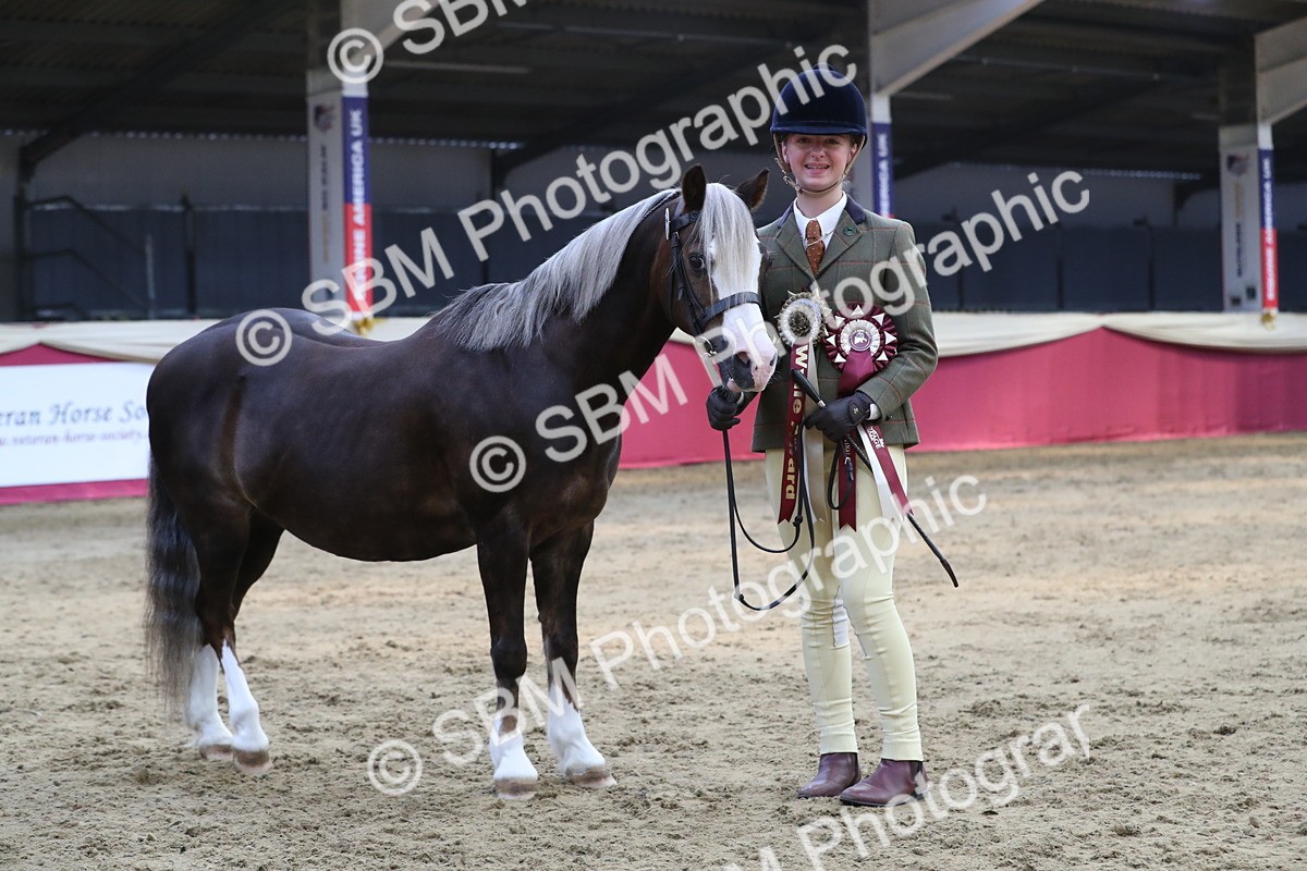 SBM_06598 - Regional IH Champ