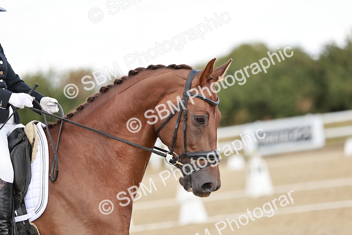 SBM_009441 - Class 11 - AM6
