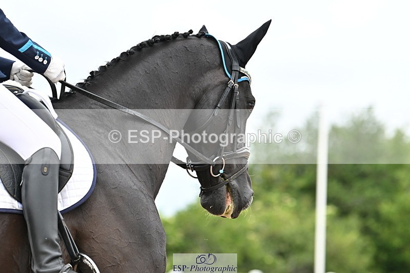 240623A-140037-18906 - Cls 51 BD Elementary 53