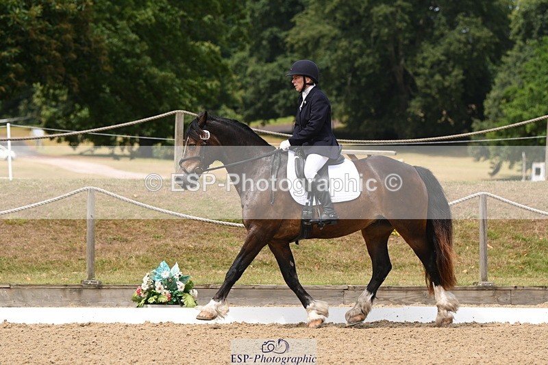 250720A-115745-10092 - 079-Amanda.Williams-Llanarth.Westminster