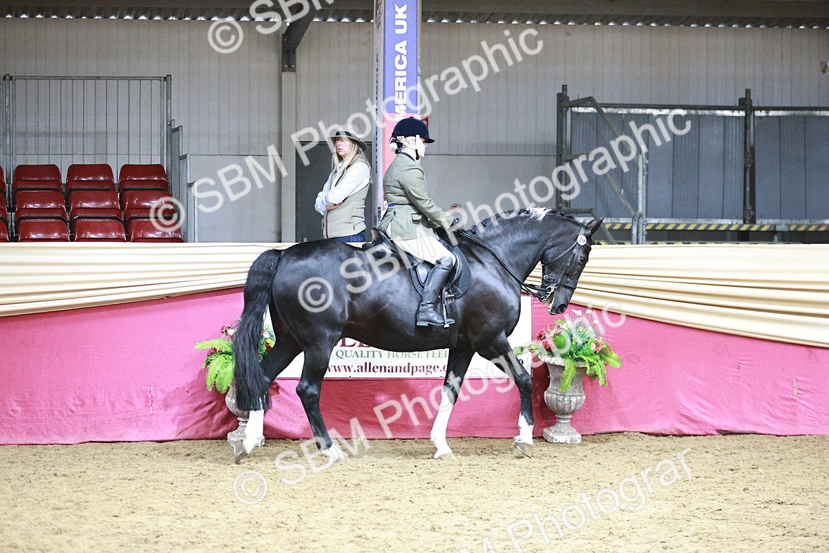 SBM_08722 - Class 12R - Regional Ridden Pre-Vet