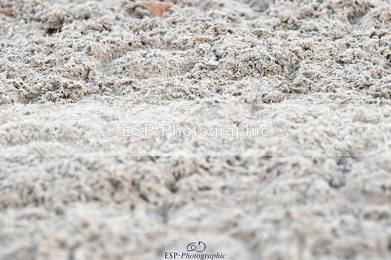 231110-154218-02293 - Cls 11 FEI PSG